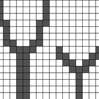 Y