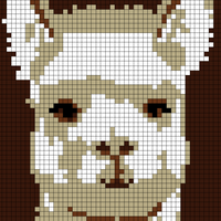 Alpaca