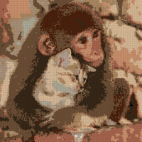 941720c6b9a1cd88b8090f83b7b85ea2.jpg