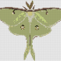 B1E31DE2-D490-477F-B7EB-D48A402334E3.png