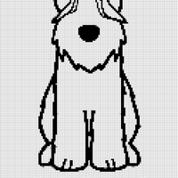 Soft Coated Wheaten Terrier.jpg