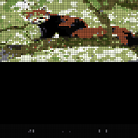 Screenshot_20220222-182657.jpg