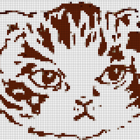 Copy of just the cat.png