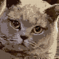 987AD66D-E403-4506-8B31-8AC5126F2697.jpeg