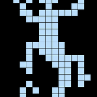 lizard