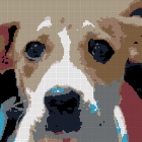 Penny.jpeg