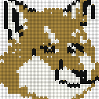 MK_XhestFoxHead.jpg