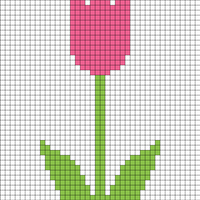 tulip