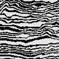 Copy of Copy of Copy of zebra image copy.jpg