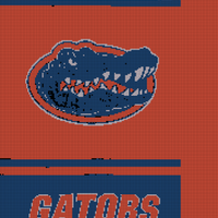new gator pic.JPEG
