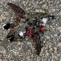 dead bird-modified.jpeg
