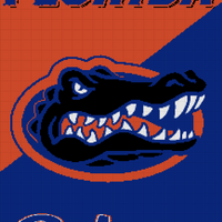 gator .jpeg