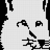 FoxHeadMonochrome_Plan de travail 1 copie.jpg