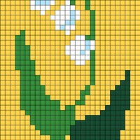 lilly of the valley