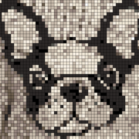 Bark_3.jpg