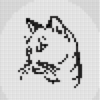 cat cat.jpg