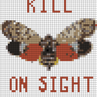 spotted lanternfly.jpg