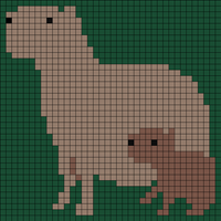 2 capybaras