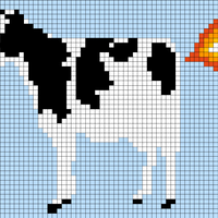 Cow Farting