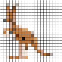20x20Kangaroo.jpeg