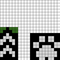 Raccoon Border