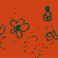 flores