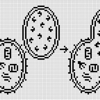 Autophagy_bw