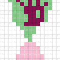 Pink Beet #2