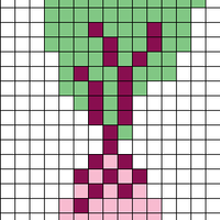 Pink and Purple Beet