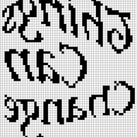 crop flip.png