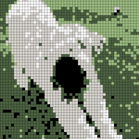 Copy of edi.jpg