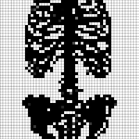 skeleton 2.jpg