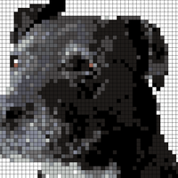 Fisher.png