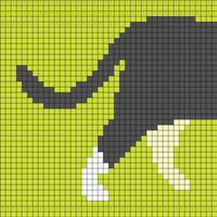 cat_b_1
