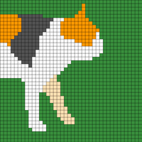 cat_f_2