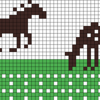 pony