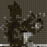 6092b008d5e16d24eb094c15_red_squirrel_facts_are_captivating_to_learn_about_animals_341558adaf.jpeg