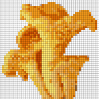 Chanterelles