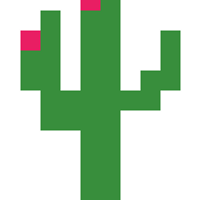 Cactus Blanket