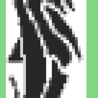Dolphins stitch view.jpg