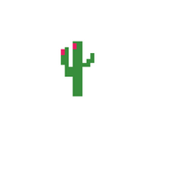 Cactus Blanket