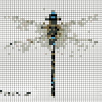 Screen Shot 2022-07-10 at 9.23.59 PM.png