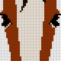 bay horse head.jpg