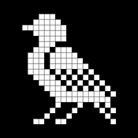 Copy of bird