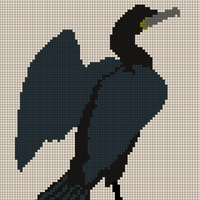 Cormorant Jumper