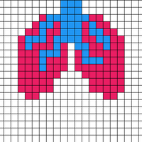 Lungs