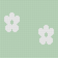 New flower back 2