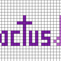 Purple Cactus Lingerie