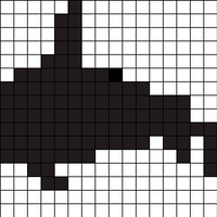 Shark Colorwork