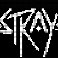stray (2).png